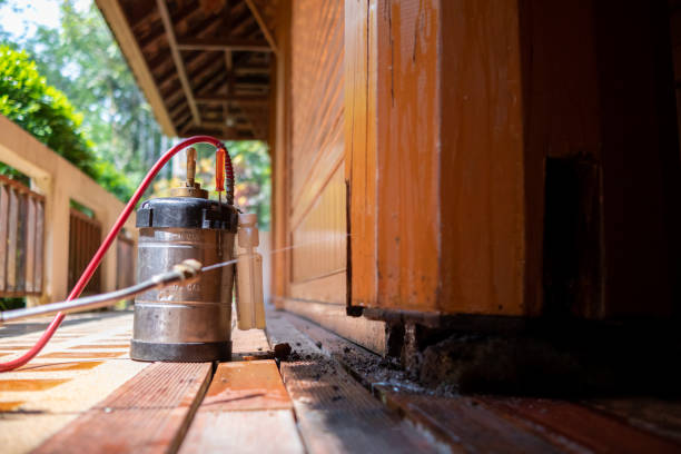 Best Local Pest Control Services  in Washington, PA